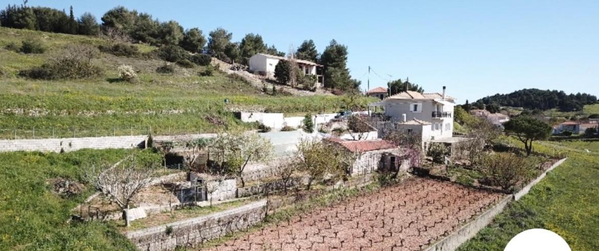 Farmhouse Volímai Dış mekan fotoğraf